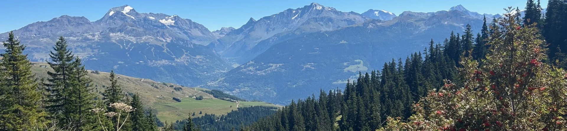 Besoin d'informations supplémentaires ? Contactez-nous !